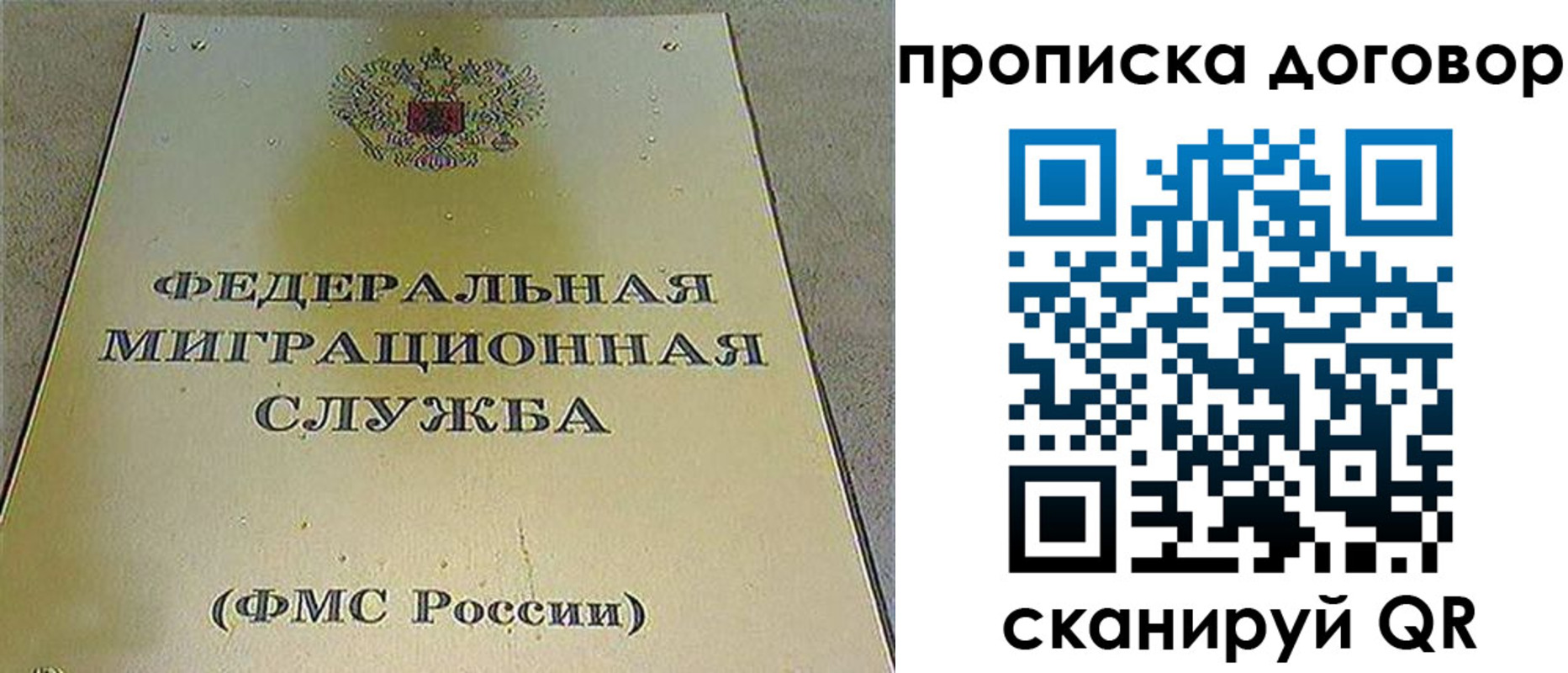 прописка паспорт в Щиграх